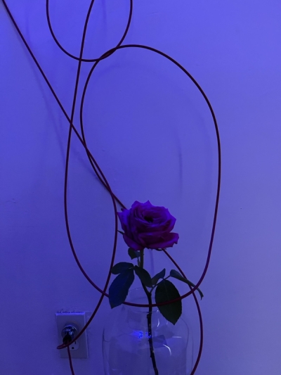 azul