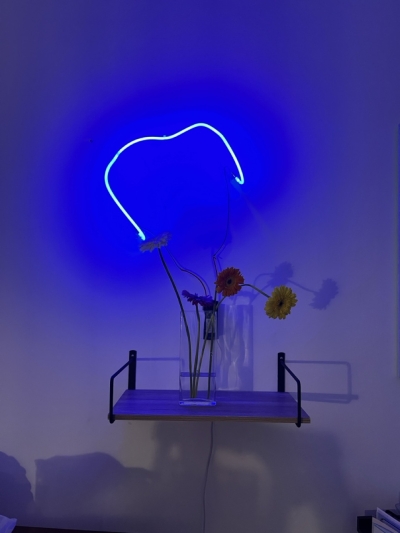 bluewire